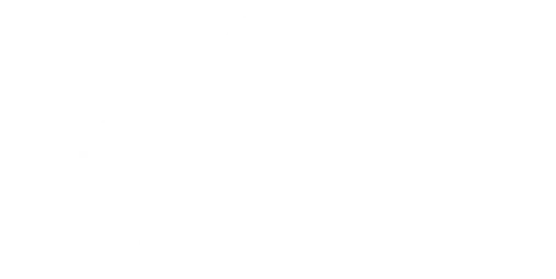 Fisura